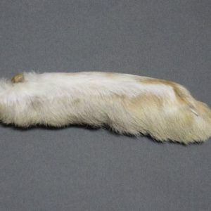 Snowshoe Rabbit Foot